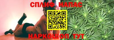 гидропоника Берёзовский