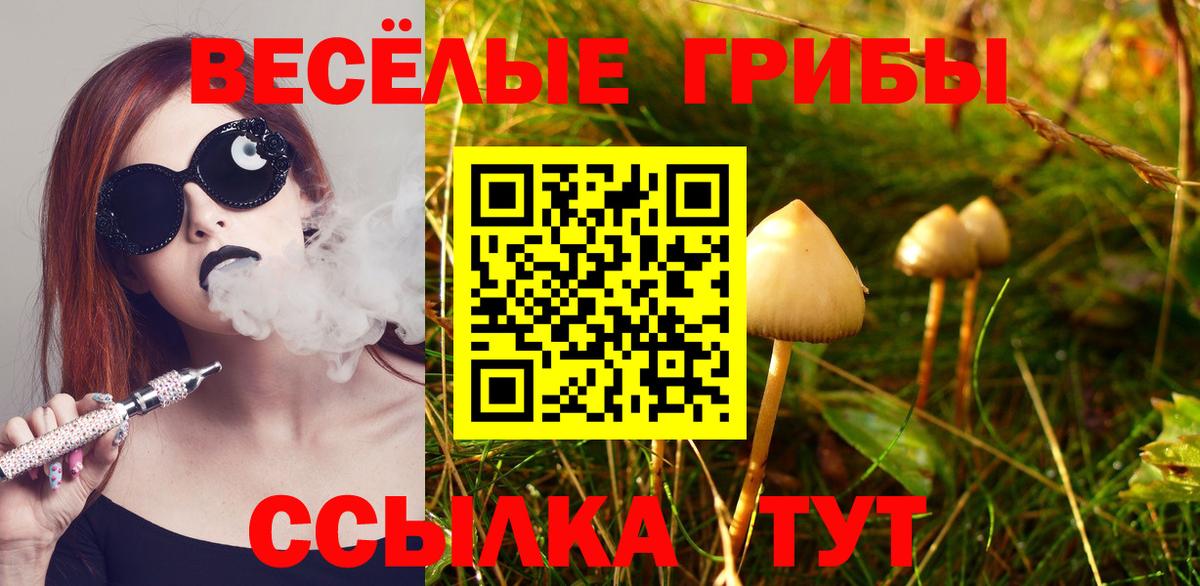 Галлюциногенные грибы GOLDEN TEACHER  Псилоцибиновые грибы Cubensis  Йошкар-Ола  Вход с VPN 