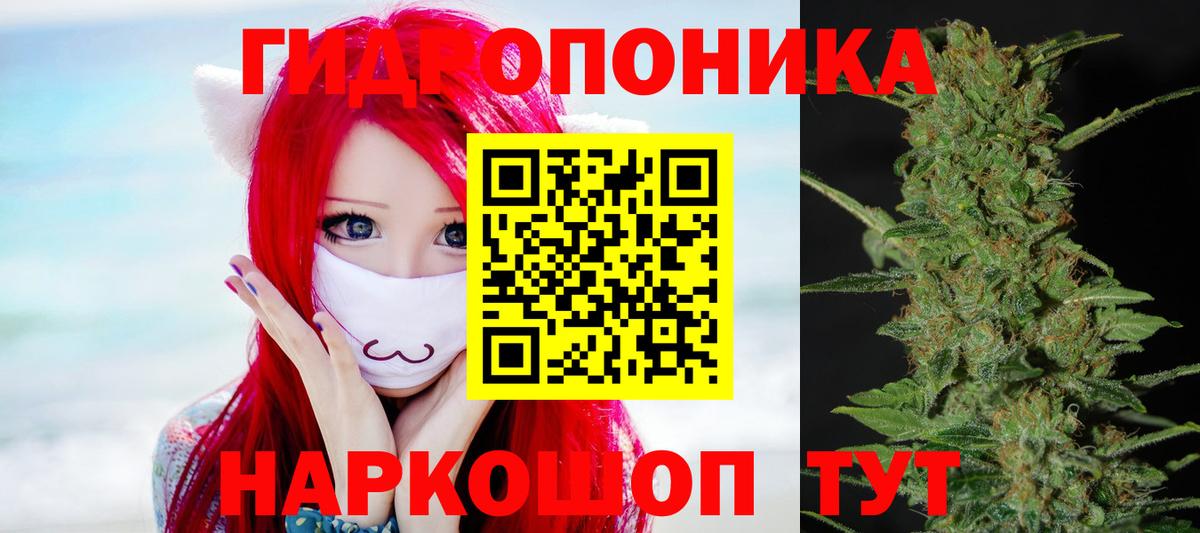 Шишки марихуана сатива  Канабис White Widow  Йошкар-Ола  Бошки марихуана сатива  Вход с VPN  Марихуана THC 21% 